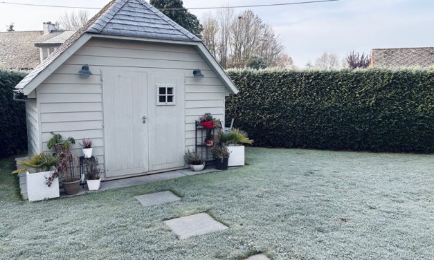 How to Turn a Backyard Shed into a Livable Studio