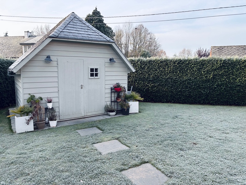 A quaint garden shed surrounded by frosty grass and plants in winter. A quaint garden shed surrounded by frosty grass and plants in winter.