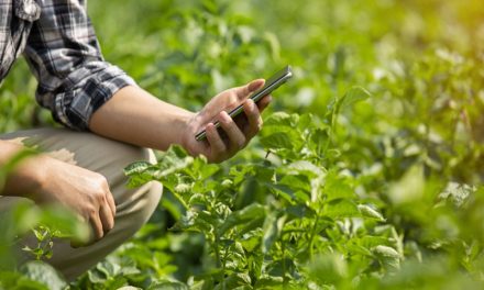 Page Speed Insights for Farm, Livestock and Shed Websites
