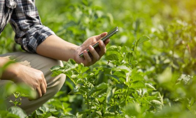Page Speed Insights for Farm, Livestock and Shed Websites