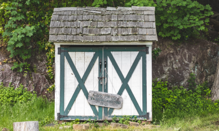 How to Safely Prepare an Old Backyard Shed for Demolition
