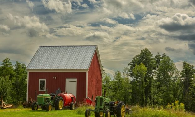 5 Cost-Effective Ways to Weatherproof and Upgrade Your Farm Shed