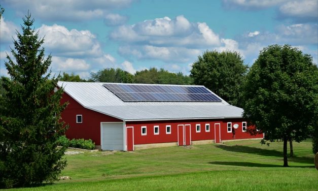 What to Check Before Installing Solar Panels on a Shed Roof