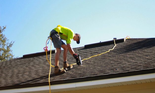 Protecting Building Integrity: Structural Roof Care Strategies