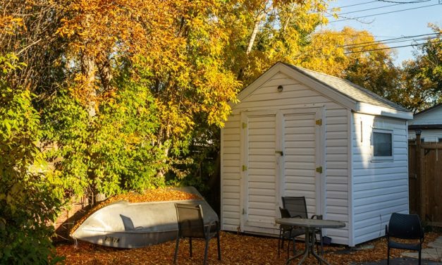 What Lies Beneath Your Planned Shed Site