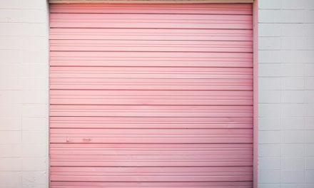 Shed Door Won’t Close? A Troubleshooting Order From the Safety Beam to the Remote Battery